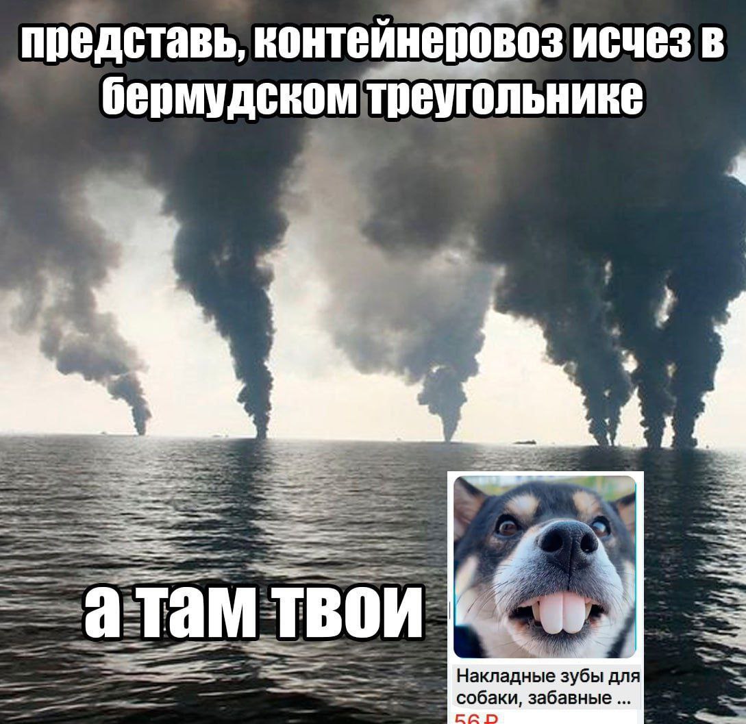представь, контейнеровоз исчез в бермудском треугольнике 4 mii Накладные зубы для собаки, забавные