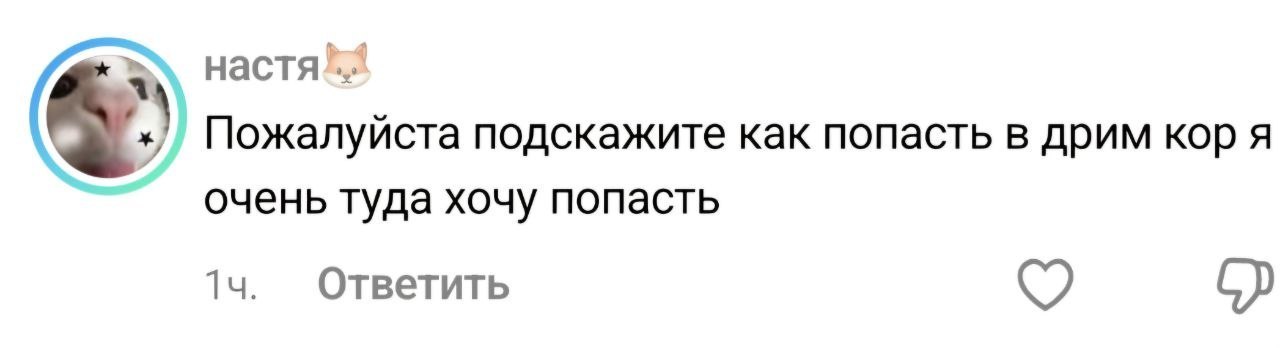 Пожалуйста подскажите как попасть в дрим кор я очень туда хочу попасть Ответить