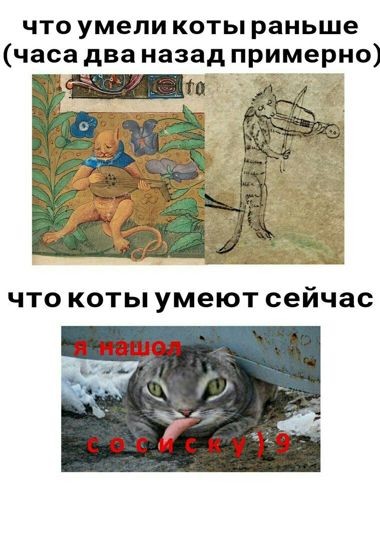 что умели котыраньше назад примерно) я sat что коты умеют сейчас
