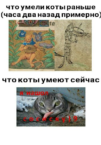 что умели котыраньше назад примерно) я sat что коты умеют сейчас