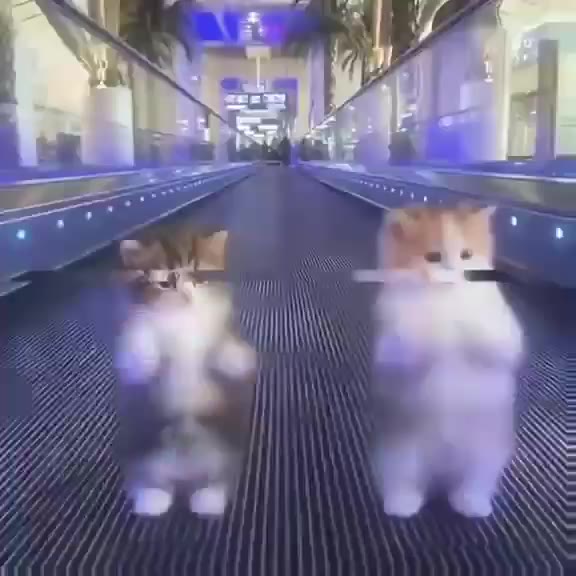 🎧