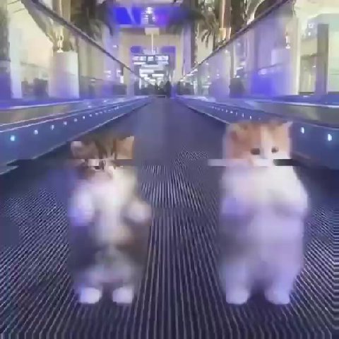 🎧