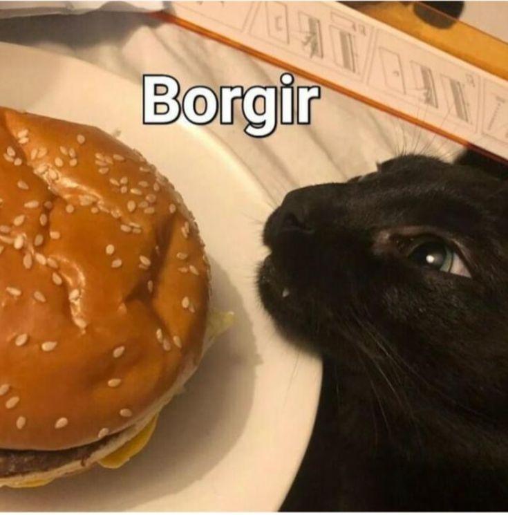 Borg 6