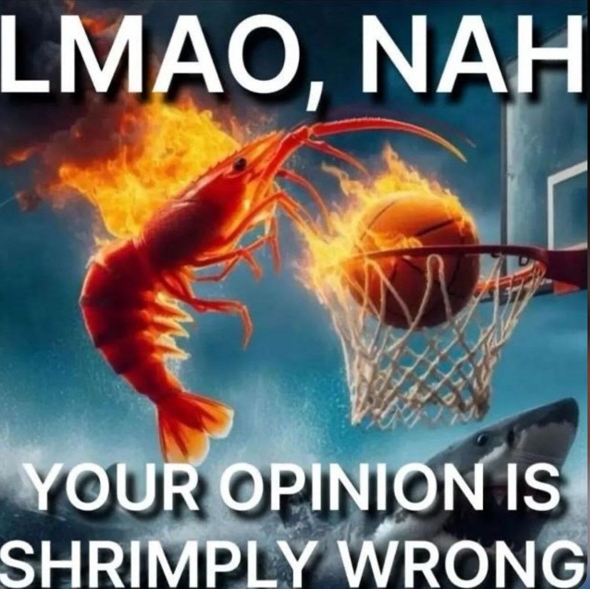LMAO, МАН YOUR OPINION IS SHRIMPLY WRONG