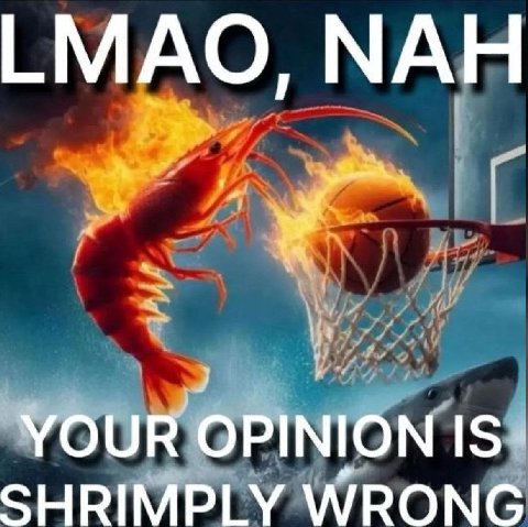 LMAO, МАН YOUR OPINION IS SHRIMPLY WRONG