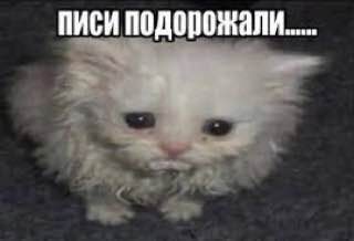 писи подорожали...
