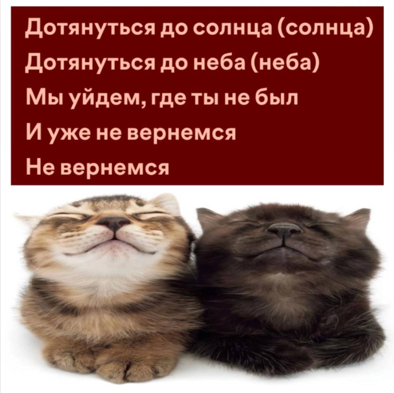 Дотянуться до солнца (солнца) Дотянуться до неба (неба) Мы уйдем, не был И He вернемся