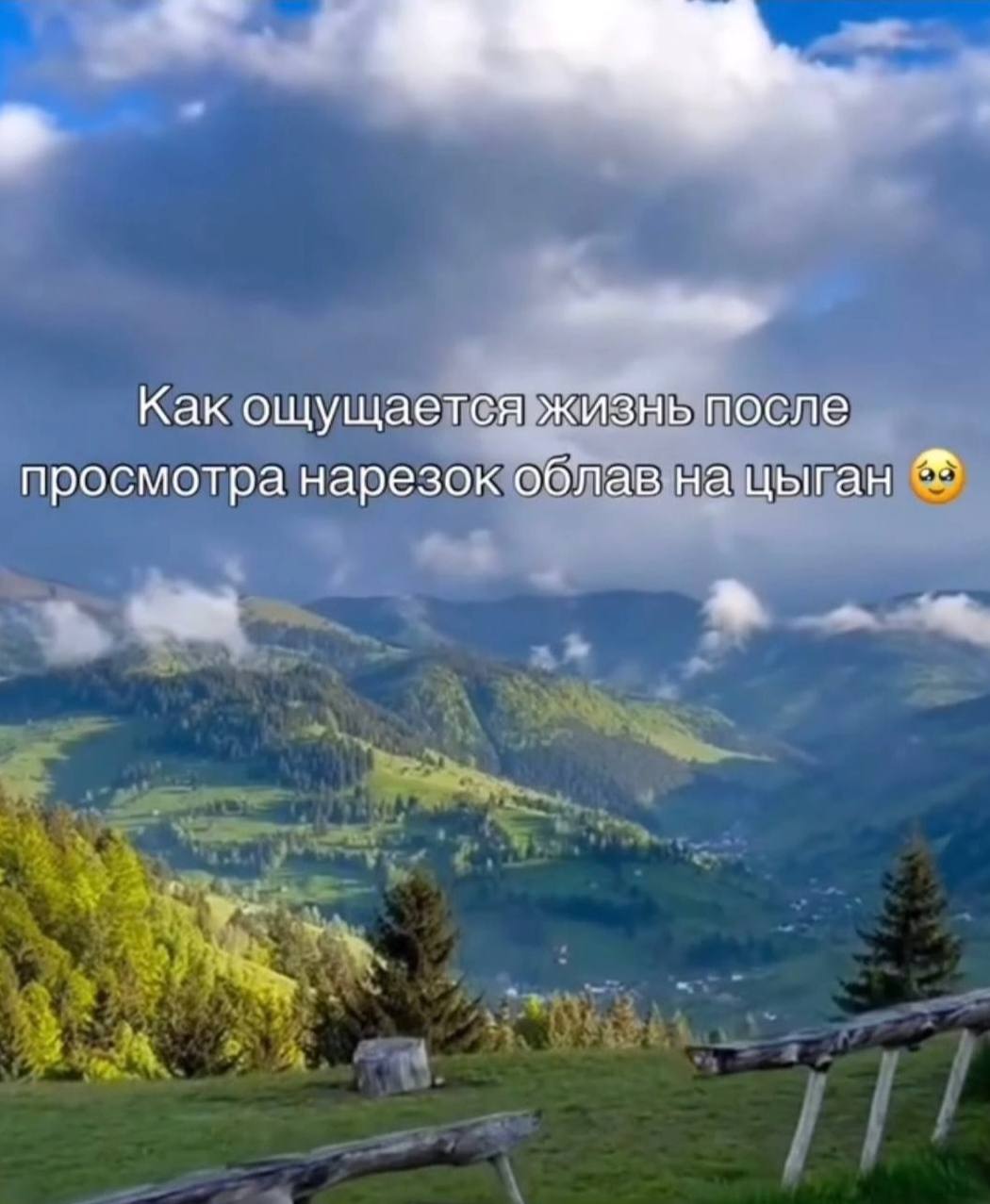 Как ощущается жизнь после просмотра нарезок облав на цыган