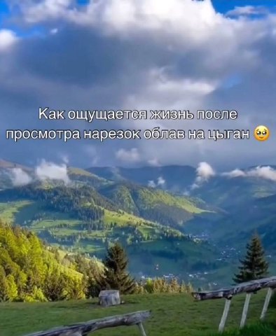 Как ощущается жизнь после просмотра нарезок облав на цыган