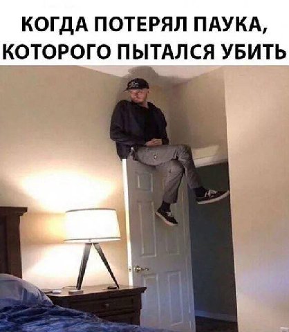 КОГДА ПОТЕРЯЛ ПАУКА, КОТОРОГО ПЫТАЛСЯ УБИТЬ