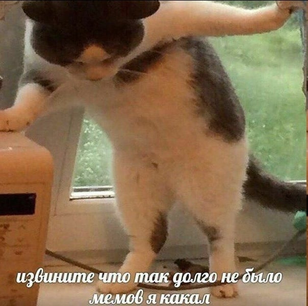 ois извините что так долго не дыло я какал