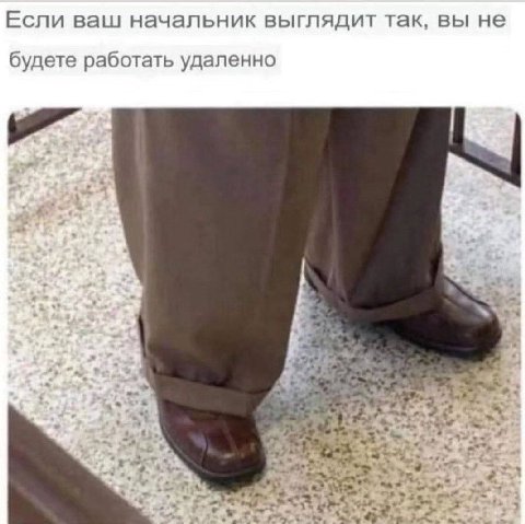 Если ваш начальник выглядит так, вы не будете работать удаленно