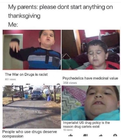 My parents: please dont start anything on thanksgiving Me: War on Drugs is racist Psychedelics have medicinal value 358 views a Imperialist drug policy is the reason drug cartels exist People who use 