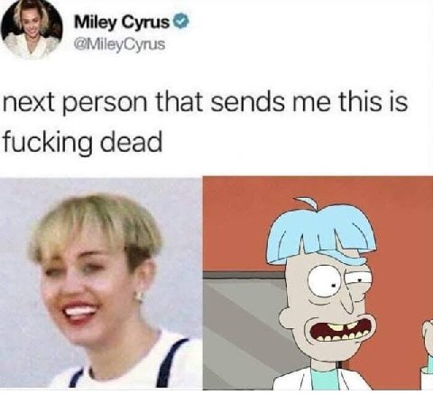 Miley Cyrus @MileyCyrus next person that sends me this is fucking dead