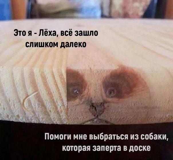 Это я Лёха, всё зашло слишком далеко a 170 Помоги мне выбраться из собаки, которая заперта в доске