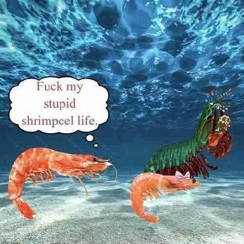 Fuck my stupid shrimpcel life.