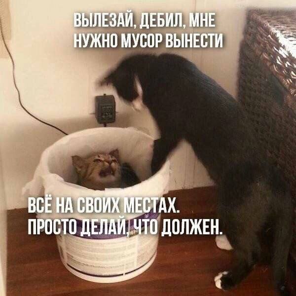 ЫЛЕЗАЙ, ДЕБИЛ, МНЕ МУСОР ВЫНЕСТИ ПРОСТО ДЕЛАЙ, ТО ДОЛЖЕН.