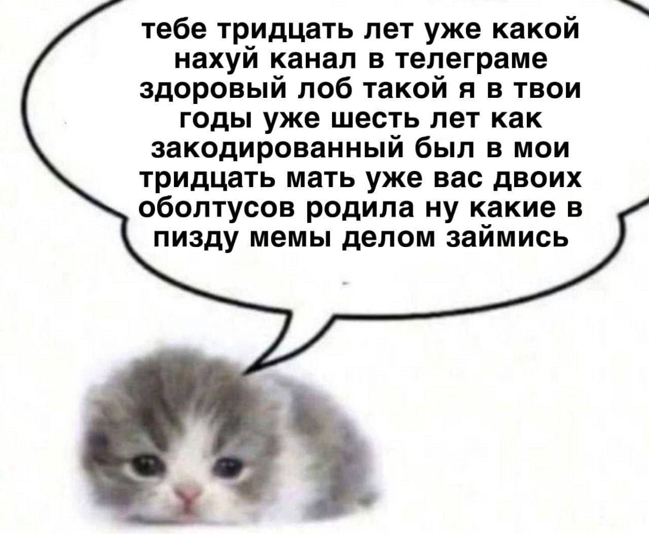 тебе тридцать лет уже какой нахуй канал в телеграме здоровый лоб такой я в твои годы уже шесть лет как закодированный был в мои тридцать мать уже вас двоих оболтусов родила ну какие в пизду мемы делом