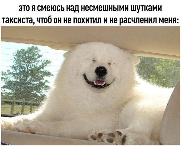 это я смеюсь над несмешными шутками таксиста, чтоб он не похитил и не расчленил меня:
