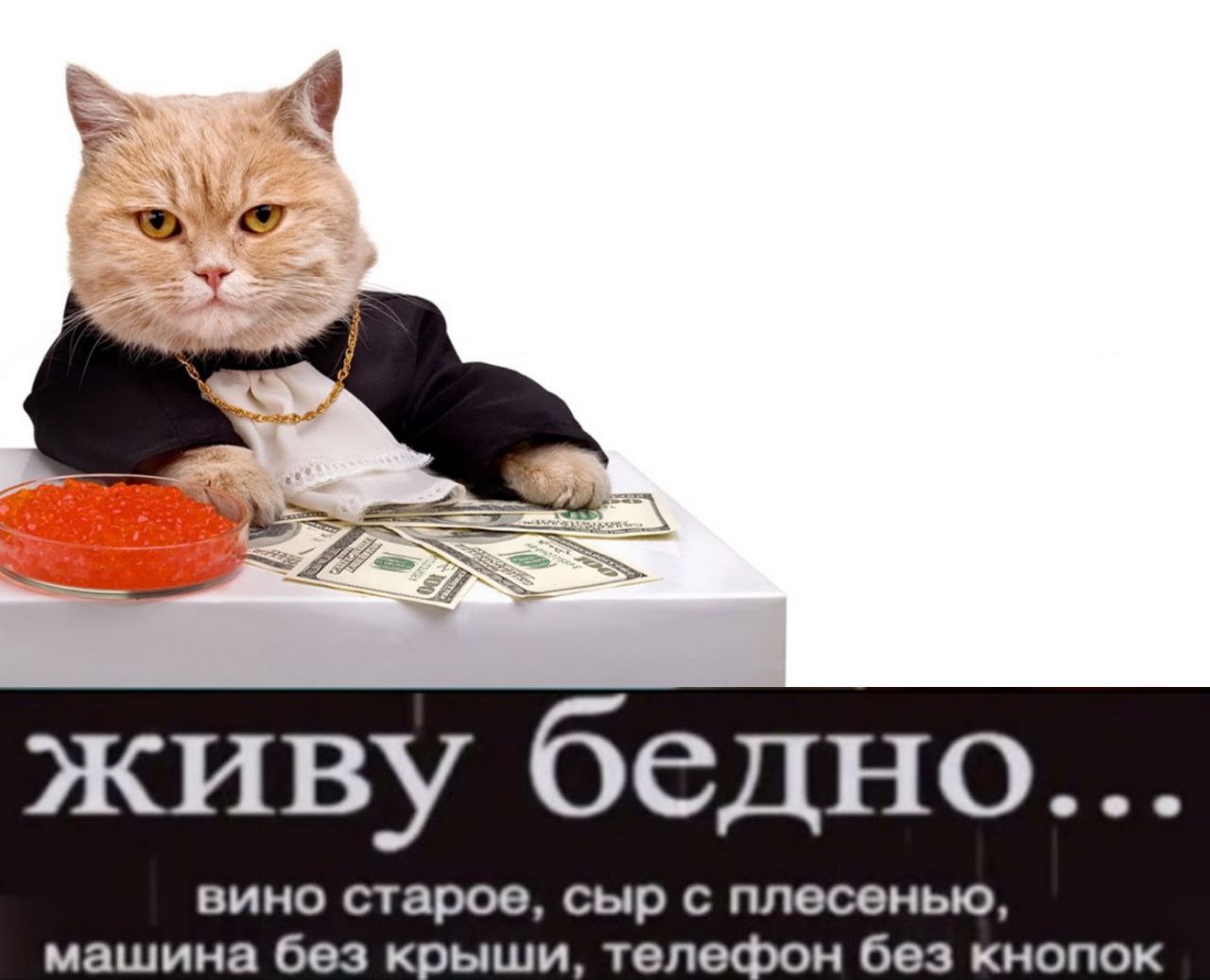 3 BOON if живу бедно вино старое, сыр с плесенью, машина без крыши, телефон без кнопок