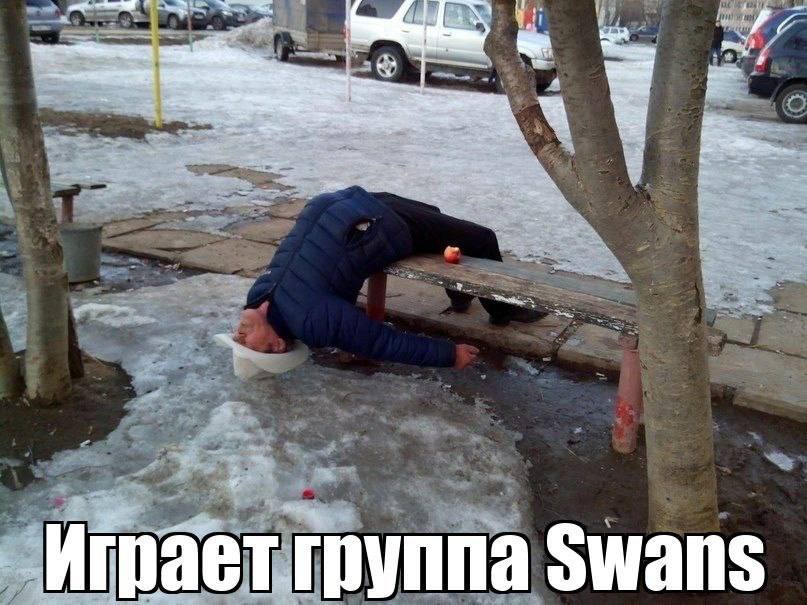 Играет группа Swans