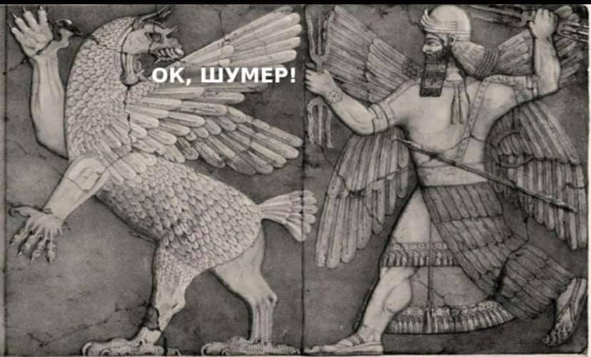 ШУМЕР!