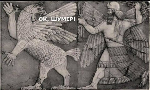 ШУМЕР!