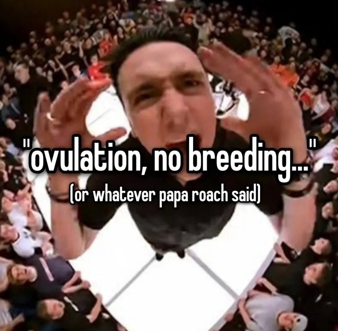 no breedina... whatever papa roach said]