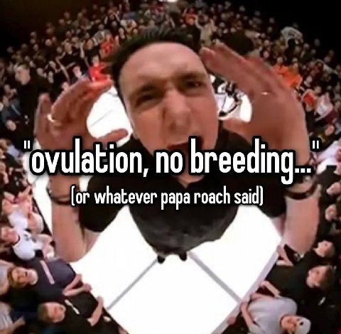 no breedina... whatever papa roach said]
