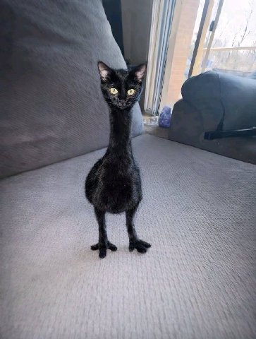 А Me о SASS 23 4 SSS 3 4 WOO и a у