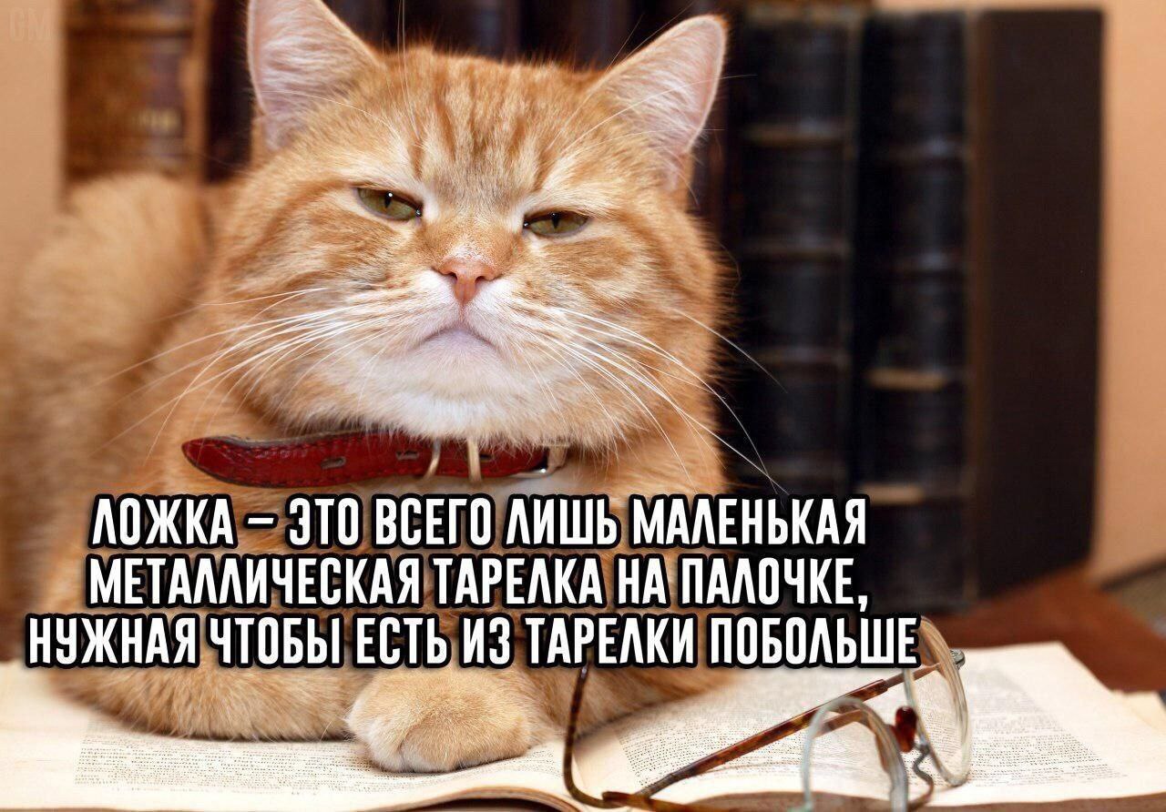 ЛОЖКА ЭТО ВСЕГО ЛИШЬ МАЛЕНЬКАЯ МЕТАЛЛИЧЕСКАЯ ТАРЕЛКА НА ПАЛОЧКЕ, НУЖНАЯ ЧТОБЫ ЕСТЬ ИЗ ТАРЕЛКИ