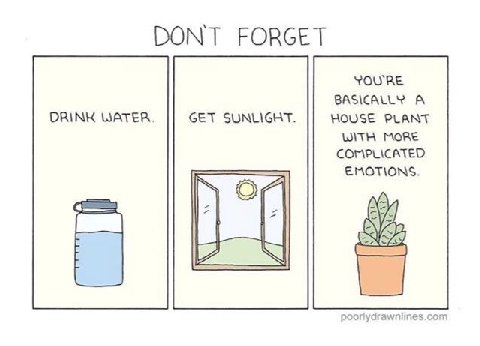 DONT FORGET YOURE BASICALLY A DRINK WATER. GET SUNLIGHT. HOUSE PLANT WITH MORE COMPLICATED EMOTIONS.