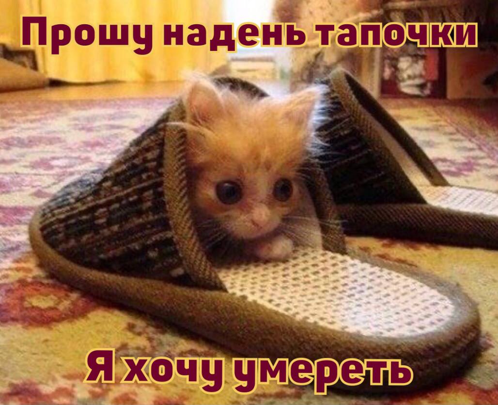 Прошу надень тапочки