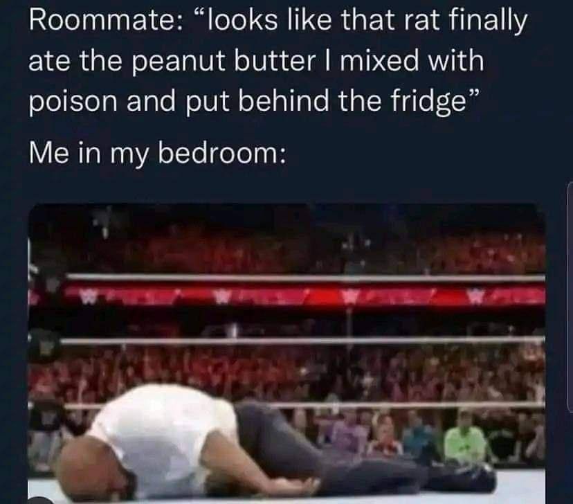 Roommate looks like that rat finally ate the peanut butter mixed with poison and put behind the fridge Me in my bedroom