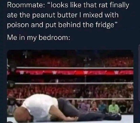 Roommate looks like that rat finally ate the peanut butter mixed with poison and put behind the fridge Me in my bedroom