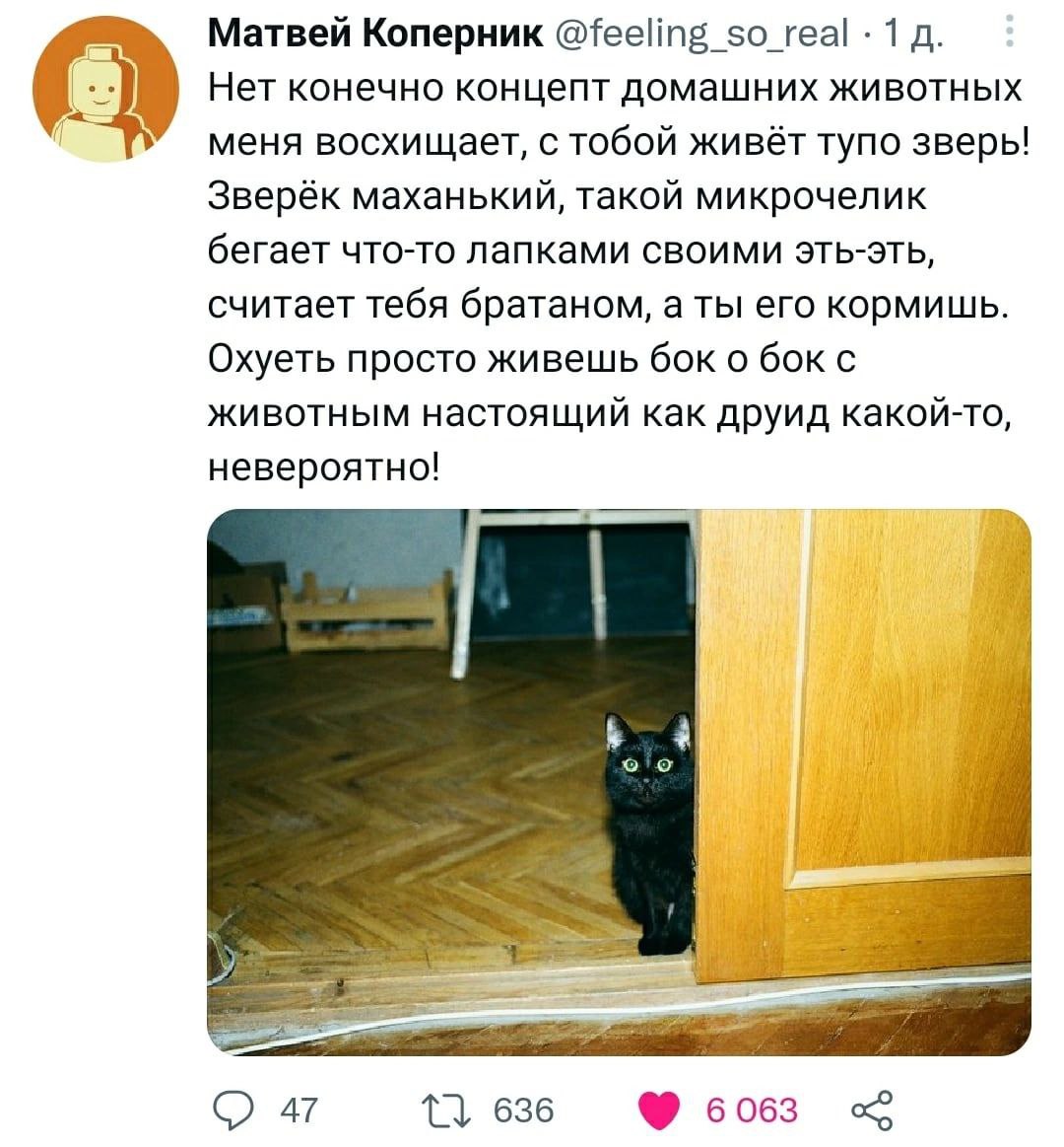 Матвей Коперник @feeling_so_real 1 О Нет конечно концепт домашних животных меня восхищает, с тобой живёт тупо зверь! Зверёк маханький, такой микрочелик бегает что-то лапками своими эть-эть, считает те
