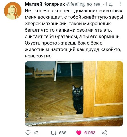 Матвей Коперник @feeling_so_real 1 О Нет конечно концепт домашних животных меня восхищает, с тобой живёт тупо зверь! Зверёк маханький, такой микрочелик бегает что-то лапками своими эть-эть, считает те