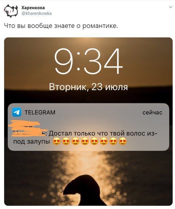 Харенкова Что вы вообще знаете о романтике. Вторник, 23 июля TELEGRAM сейчас Достал только что твой волос из-