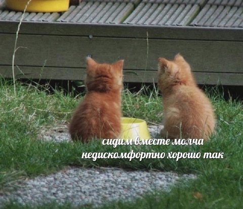молча недискомфортно хорошо так