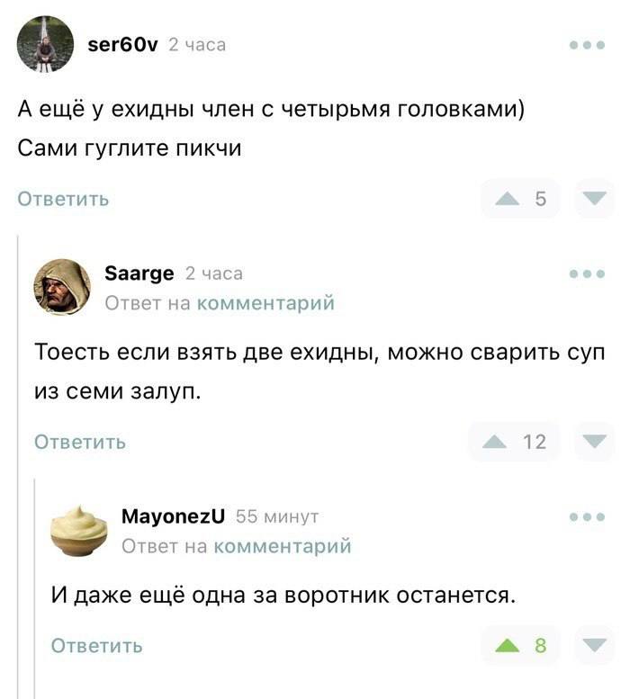 зегбО\ 2 часа Аещёу ехидны член с четырьмя головками) Сами гуглите пикчи Ответить 5 Saarge 2 часа Ответ на комментарий Тоесть если взять две ехидны, можно сварить суп из семи залуп. Ответить 12 Mayone