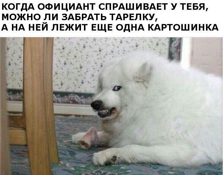 КОГДА ОФИЦИАНТ СПРАШИВАЕТ У ТЕБЯ, МОЖНО ЛИ ЗАБРАТЬ ТАРЕЛКУ, A НЕЙ ЛЕЖИТ ЕЩЕ ОДНА КАРТОШИНКА 4