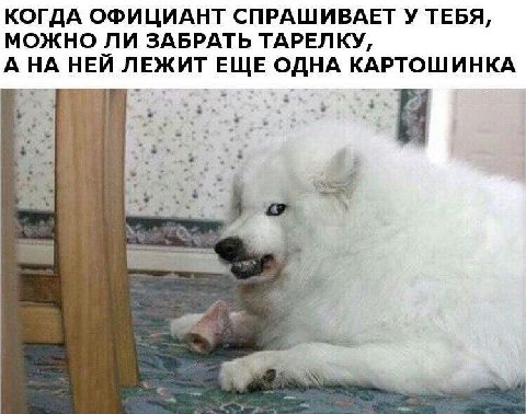 КОГДА ОФИЦИАНТ СПРАШИВАЕТ У ТЕБЯ, МОЖНО ЛИ ЗАБРАТЬ ТАРЕЛКУ, A НЕЙ ЛЕЖИТ ЕЩЕ ОДНА КАРТОШИНКА 4