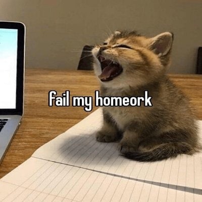 Fail my homeork