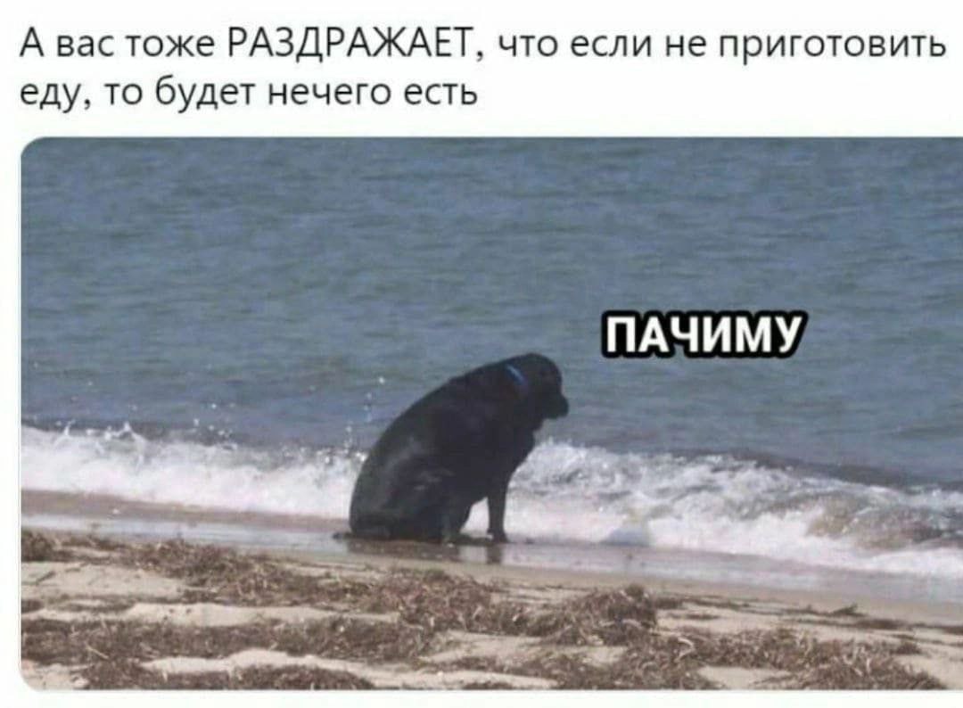 А вас тоже РАЗДРАЖАЕТ, что если не приготовить еду, то будет нечего есть ПАЧИМУ