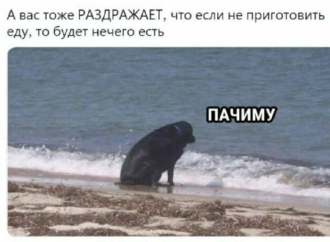 А вас тоже РАЗДРАЖАЕТ, что если не приготовить еду, то будет нечего есть ПАЧИМУ
