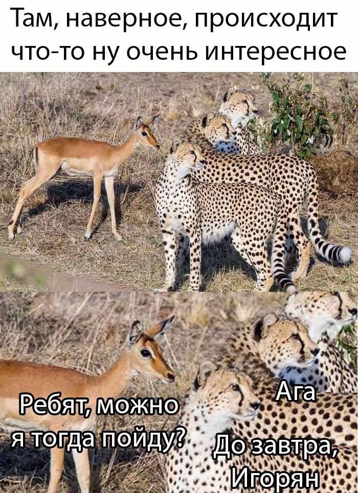 Там, наверное, происходит что-то ну очень интересное 4 an У roe и 5 4 А ОЖНО. Я Завтра,