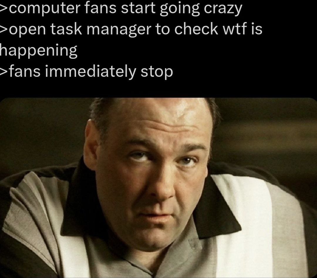 >computer fans start going crazy >open task manager to check wtf is happening >fans immediately stop