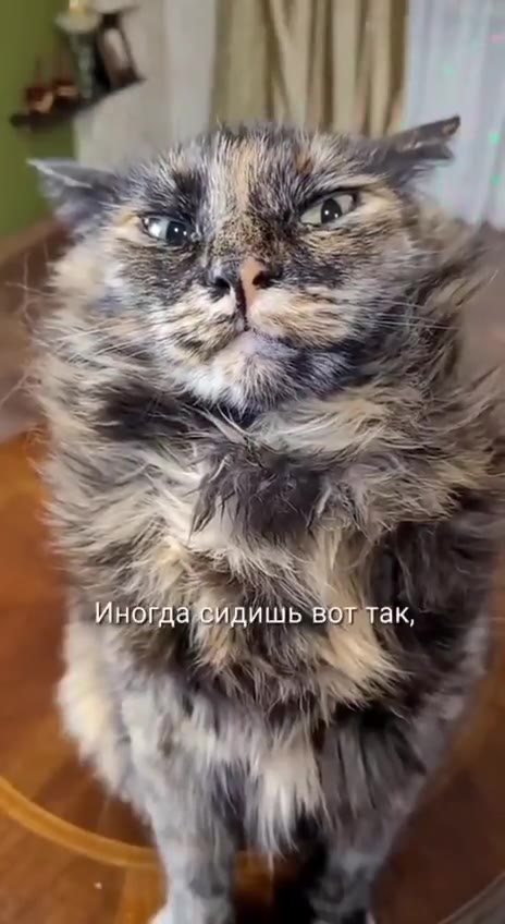 _ Иногда pits ВО ак, : ТОК звёзд) #