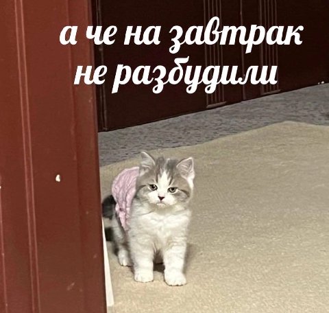 а че на завтрак не раздудили