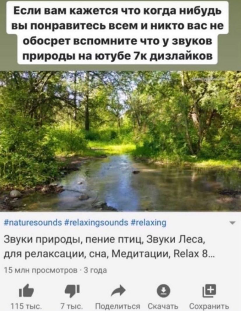 Если вам кажется что когда нибудь вы понравитесь всем и никто вас не обосрет вспомните что у звуков природы на ютубе 7к дизлайков 4 #naturesounds #relaxingsounds #relaxing Звуки природы, пение птиц, З